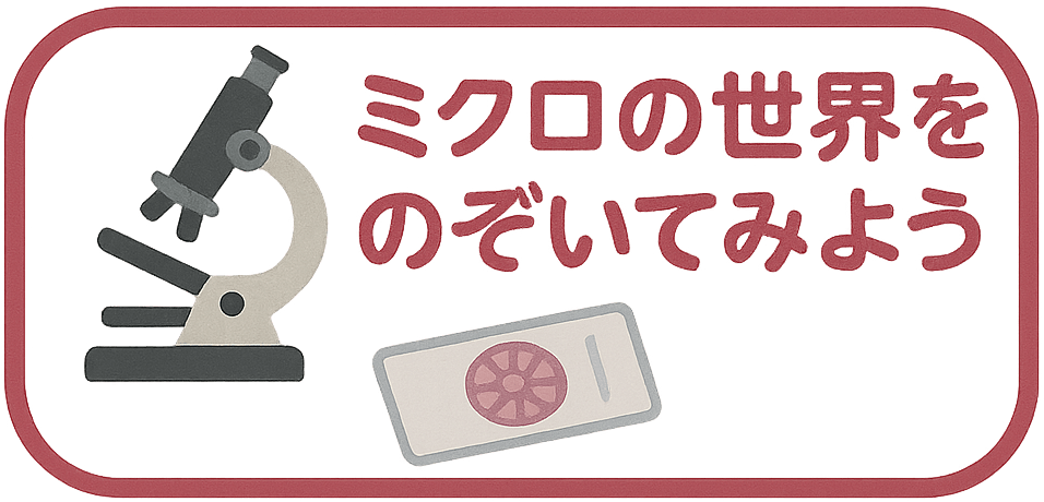 ~N̐ÊĂ݂悤