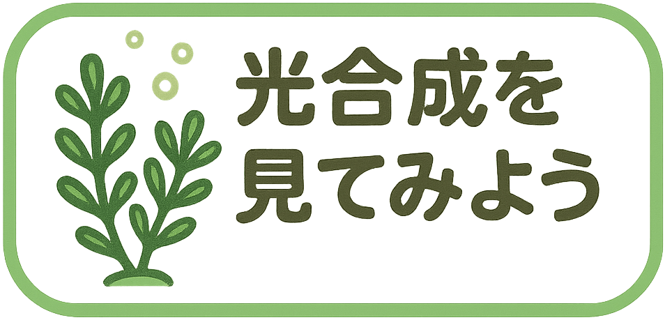Ă݂悤