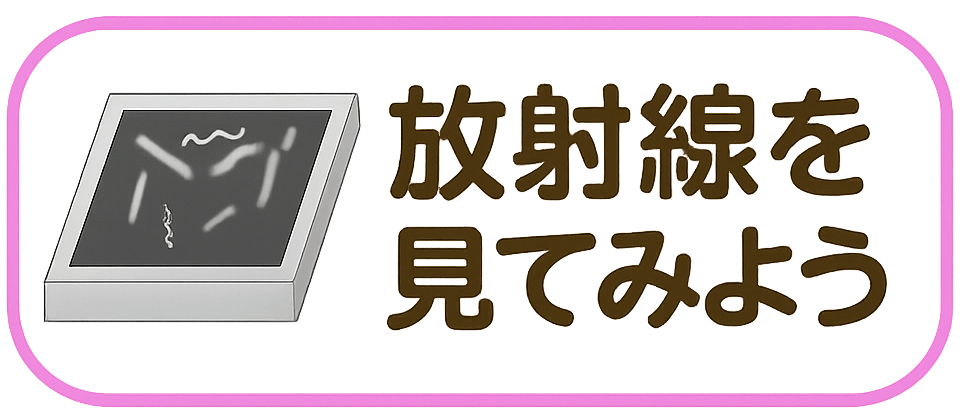 ːĂ݂悤