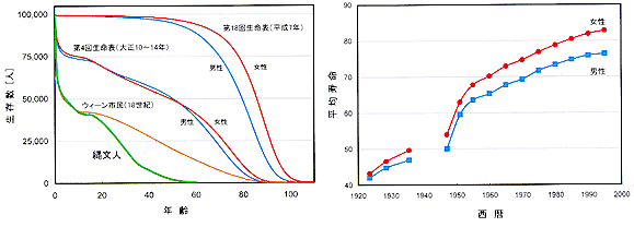 寿命 の 平均 江戸 時代