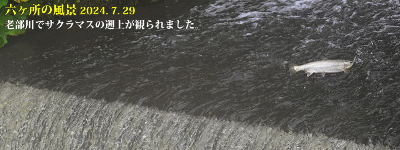 top13: image 1 0f 8