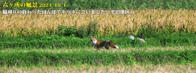 top13: image 1 0f 8