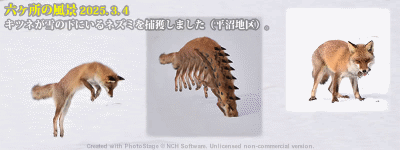 top13: image 1 0f 8