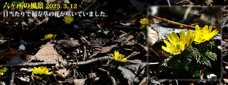 2025.03.12Fŕ̉Ԃ炢Ă܂B@@iBeFˈWj