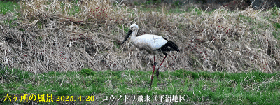 top14: image 1 0f 8