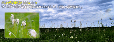 top14: image 1 0f 8