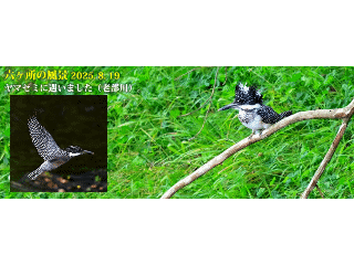 top14: image 1 0f 8