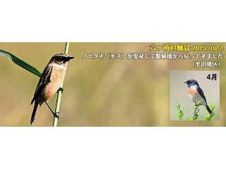 top14: image 1 0f 8