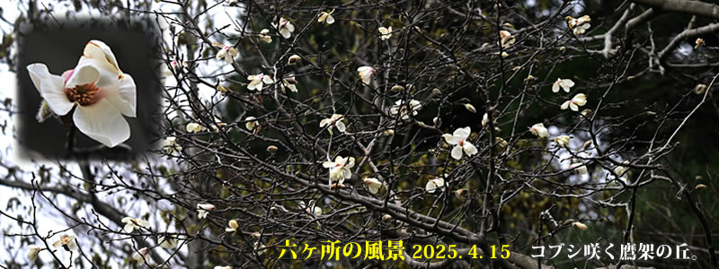 2025.04.15FRuV炭˂̋uB@@iBeFˈWj
