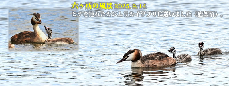 2025.09.14FqiAꂽJJCcuɋ܂iˏjB@@iBeFˈWj