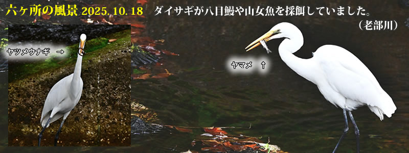 2025.10.18F_CTMډVR̉aĂ܂iVjB@@iBeFˈWj