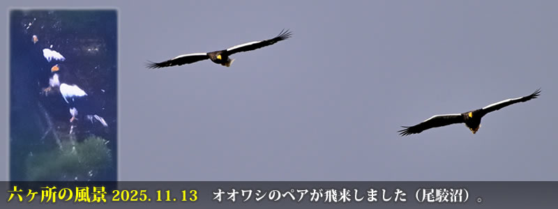 2025.11.13FIIṼyA򗈂܂iojB@@iBeFˈWj