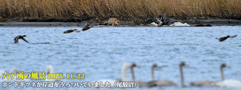 2025.11.22FzhMclݕӂĂ܂iojB@@iBeFˈWj