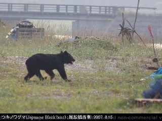 animal01: image 1 0f 6