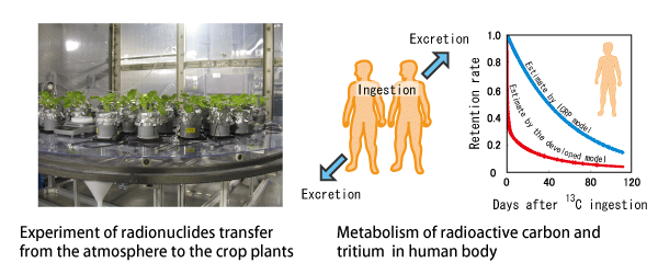 Radioecology.3