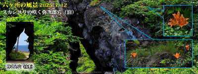 top14: image 1 0f 8