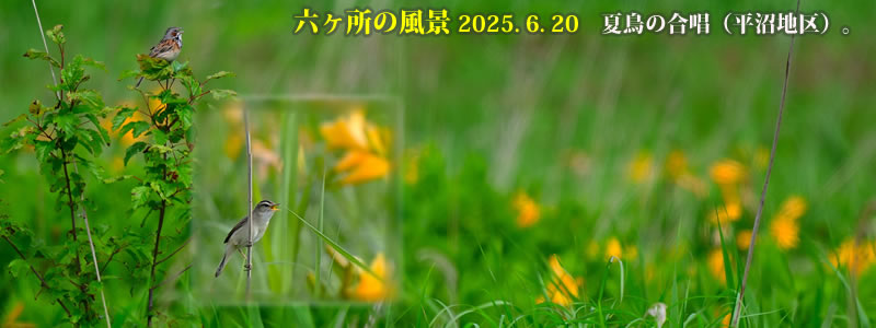 2025.06.20FĒ̍injB@@iBeFˈWj