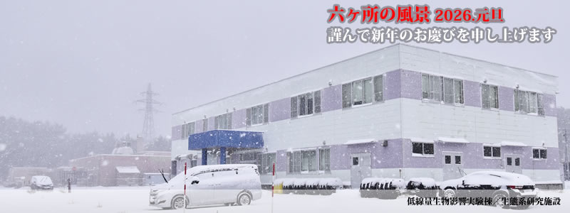 2026.01.01�F�ނ�ŐV�N�̂��c�т�\���グ�܂��B�@�@�i�B�e�F��ˈ�W�j�B