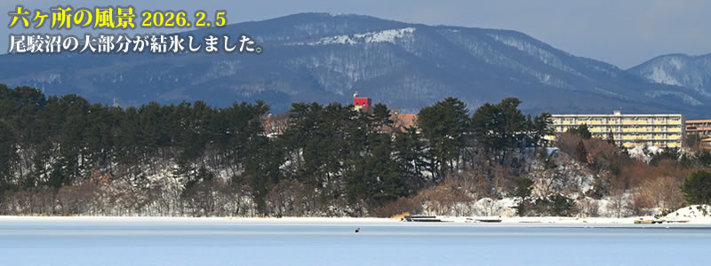 2026.02.05�F���o���̑啔�������X���܂����B�@�@�i�B�e�F��ˈ�W�j