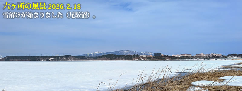 2026.02.18:雪解けが始まりました(尾駮沼)。 (撮影:一戸一晃)