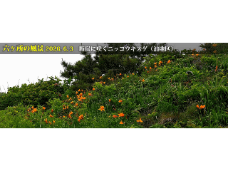 top15: image 1 0f 8