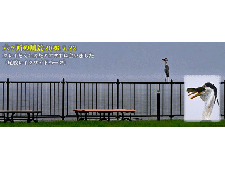 top15: image 1 0f 8