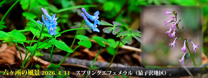 2026.04.11�F�X�v�����O�G�t�F�������i���q��n��j�B�@�@�i�B�e�F��ˈ�W�j