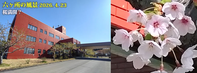 2026.04.23�F�����J�H�@�@�i�B�e�F���c��l�j